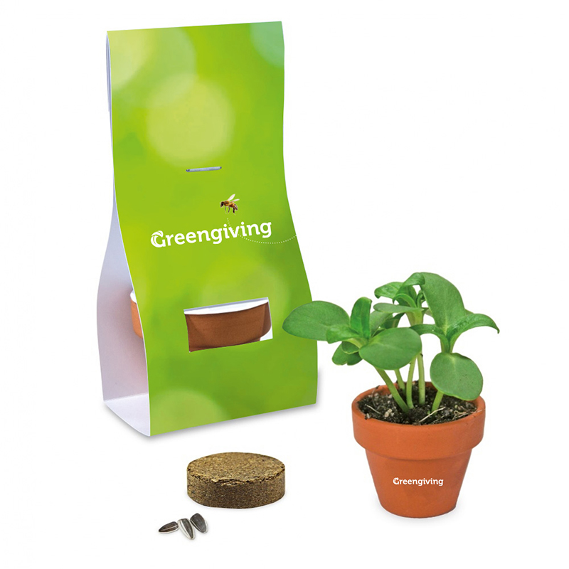Mini Bloempotje met zaden | Eco geschenk